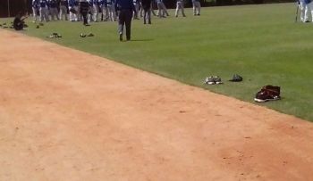 Tigres, Leones y Estrellas iniciaron sus entrenamientos