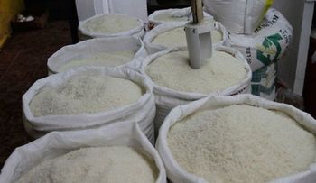 Productores de arroz dicen importaciones se hacen con transparencia