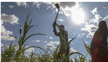 ONU alerta: 2 millones en Somalia sufren hambre aguda