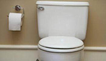  892 millones de personas defecan al aire libre: una amenaza para la salud 