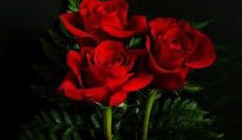 Si no lo sabías, el rojo es el color más sexy para vestir, la ciencia lo afirma