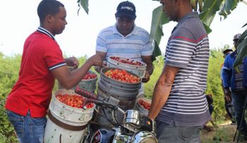 Productores de cerezas de Belloso reciben crédito del Gobierno