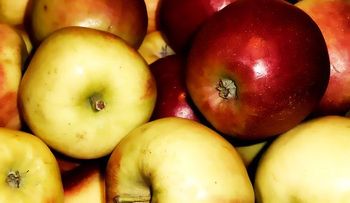 Adelgaza en 7 días sólo con Vinagre de Manzana  (Video)