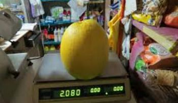 Cosechan un "super" limón de dos kilos