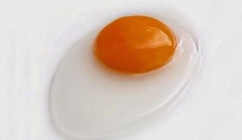 ¿Es mala la yema de huevo?