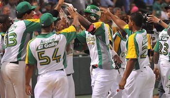 Posiciones equipos béisbol invernal dominicano