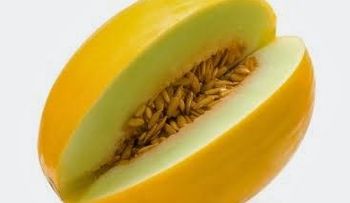 Lo que aporta el melón a tu salud