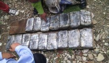 La DNCD ocupa una cantidad indeterminada de drogas en finca de San Cristóbal 