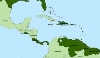 Dengue y chikungunya proliferan en poblaciones aledañas al río Caracas