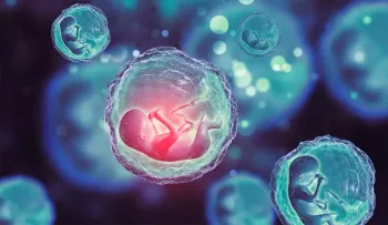 Embriones humanos sintéticos con células madre sin óvulos ni esperma