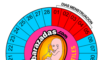 Cuáles son los días fértiles de la mujer