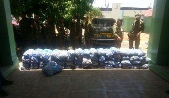 Armada ocupa 450 sacos de ajo contrabandeados desde Haití