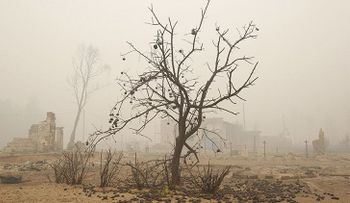 200 millones de estadounidenses sufrirán graves problemas mentales por el cambio climático