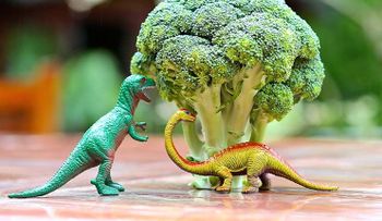 7 recetas con brócoli amigables para niños 