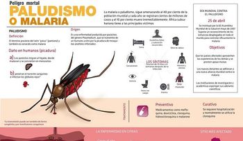 La malaria: síntomas, prevención y tratamiento