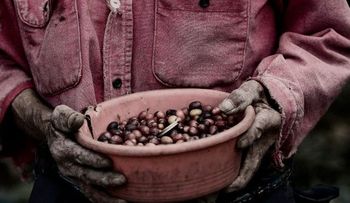 5 hábitos que debes dejar ahora mismo si no quieres estar postrado en la vejez