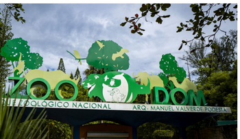 Permiten especies exóticas en el Zoológico Nacional