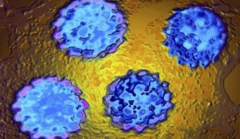 Cáncer y sexo oral, ¿riesgo real o temor infundado?