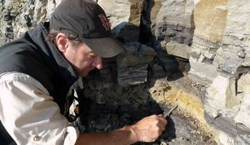 Descubren en Alaska fósil de dinosaurio herbívoro