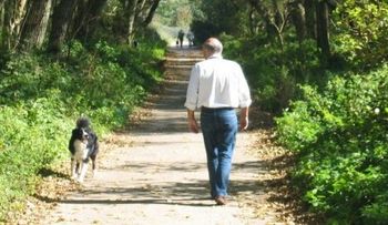 La diabetes se puede frenar saliendo a caminar después de comer
