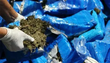 Guardacostas de EEUU decomisan 674 kilos marihuana cerca de la costa de Haití