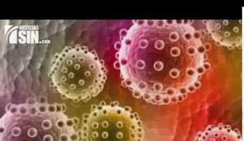Autoridades sanitarias estudian otras posibles vías de transmisión del virus Zika