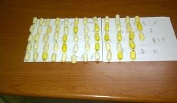 Apresan italiana con estómago y vagina llenos de droga