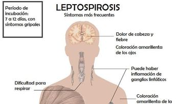 Al menos 53 muertos por leptospirosis en lo que va de año y 626 afectados