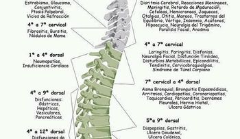 El dolor y las emociones 