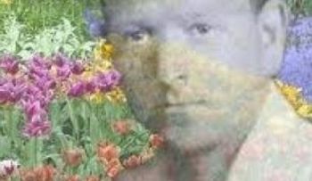 Propiedades flores de Bach...Un método de sanación para poner en armonía alma, cuerpo y mente