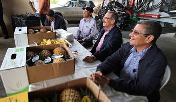 Presidente Medina se reúne con productores de piña en Bayaguana