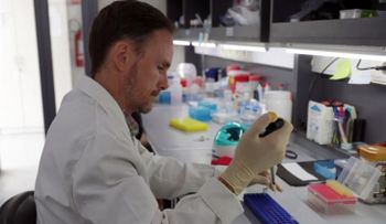 Hallan vínculo entre depresión en mujeres y una proteína del cerebro