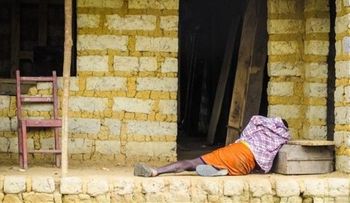 Murciélagos infectarían 1era víctima de ébola 