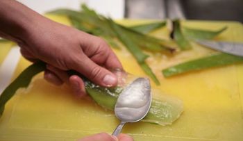 Cómo preparar el jugo de sábila (aloe vera) en casa