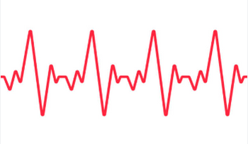 Eco del corazón: el examen silencioso que revela cómo late tu vida