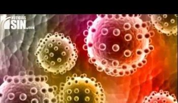 Aumentan período de prueba para detección del virus del zika