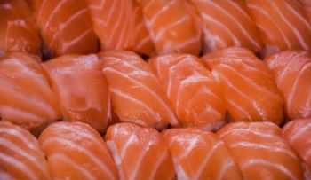 ¿Te gusta el sushi? Este parásito podría estar nadando en tu plato favorito