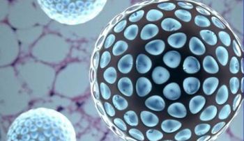 Este nanofármaco podría ser la solución a la obesidad y la diabetes