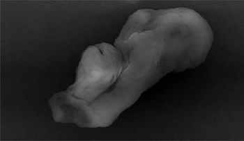 Científico del Reino Unido dice que esta imagen prueba existencia de extraterrestres          