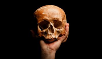 Humanos asesinos de Hobbits