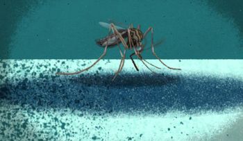 El alcance virus del Zika es "más alarmante de lo que pensamos inicialmente", advierten expertos