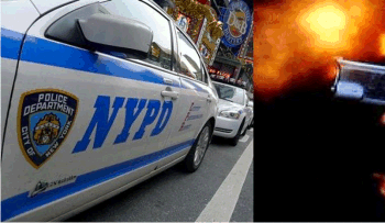 Arresto por armas aumentó 83% en 2015 en vecindarios dominicanos en NY 