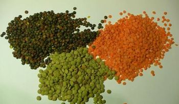 5 alimentos para tu cerebro
