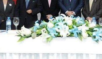 Nuevo programa de expertos holandeses disponible para industrias y pymes dominicanas