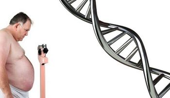 Pedro Torres Ciliberto: ¿Existe un gen de la obesidad que incrementa la masa corporal?