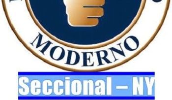 Alegría y disgusto por cambio posición candidato PRM en NY