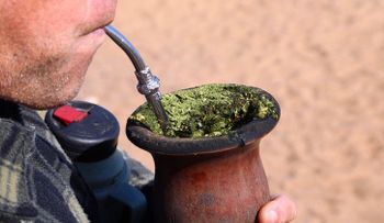 El mate puede causar cáncer, advierte la OMS