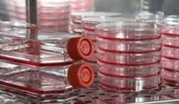 Si todo el mundo estuviera usando la cúrcuma y la vitamina D para para prevenir el cáncer, las farmacéuticas quebraran