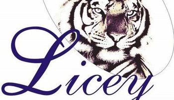 Licey hará una fiesta con varias orquestas por 106 aniversario