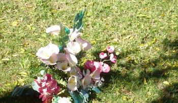 Decenas visitan cementerios para llevar flores en el Día de los Padres